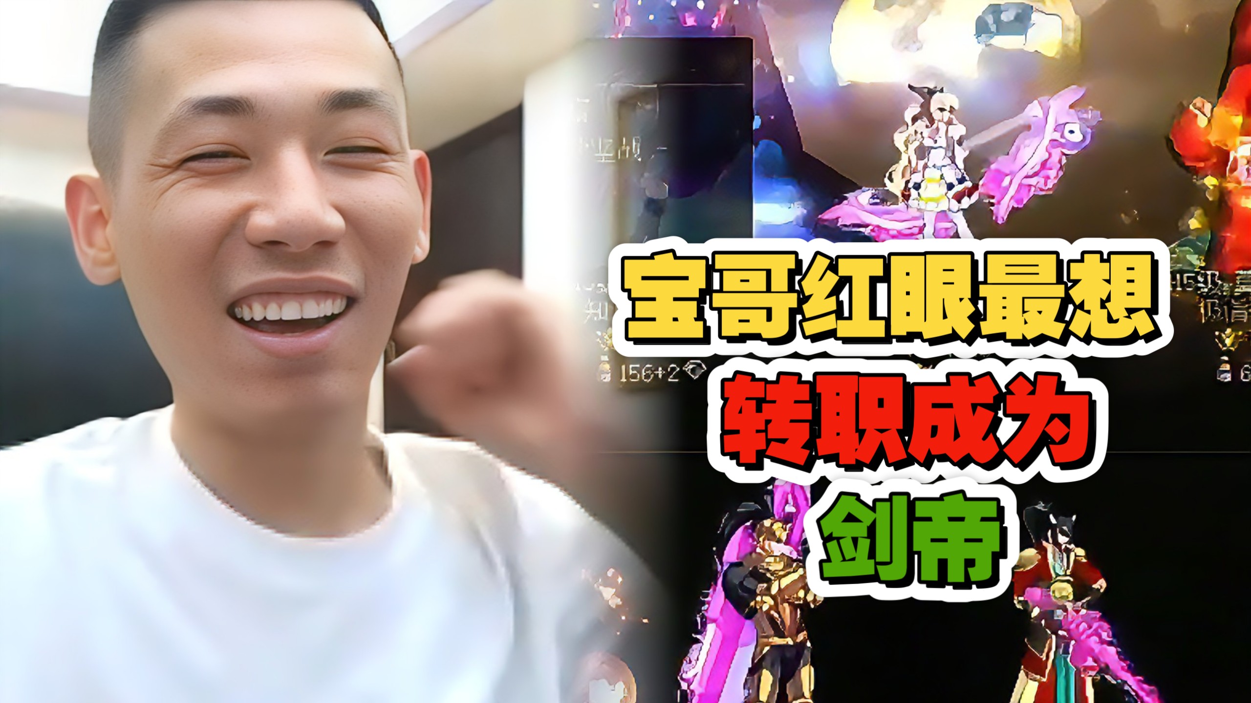 宝哥(宝哥和他的导盲犬)